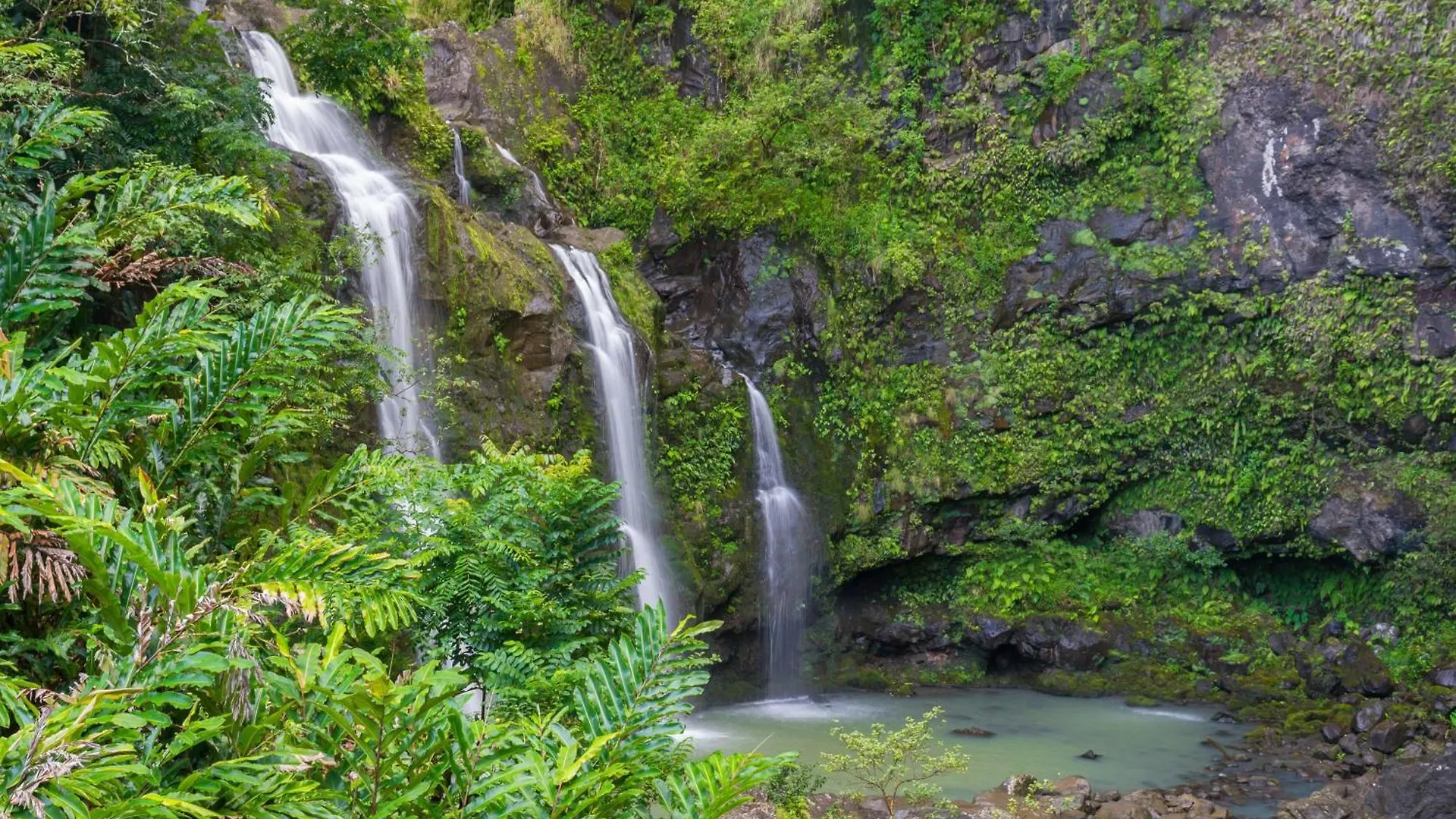 Kulakane 310 Kahana 0*,  United States